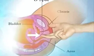 مذهلة مثلية لعق & بالإصبع بعضهم البعض افلام افلام سكسيه