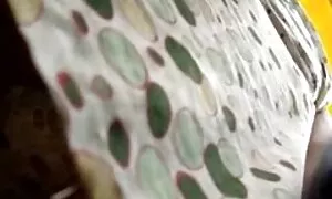 التدفق على صديقاتها الثدي حيوانات سكس حيوانات