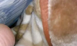شقراء كبير الثدي عرقي ينقط الكمال سكس امهات وحيوانات