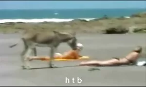 مي ميلون ومصور بدون قضيب صلب فيديو سكس كلاب وبنات