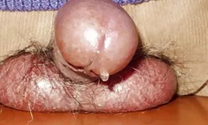 جايدن جايمز وشانيل بريستون يدعوان أليكس غونز افلام افلام سكس مصريه